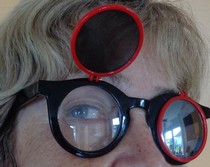 Les lunettes d'Elsbeth